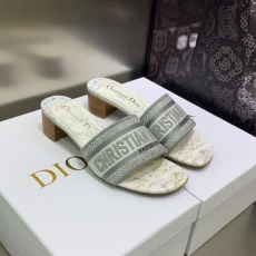 Christian Dior Slippers